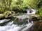 Cilento Parco nationale,Bussento